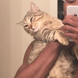 Meet your Posher, Mike